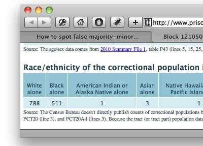 screenshot of the detailed demographics page for a particular census block