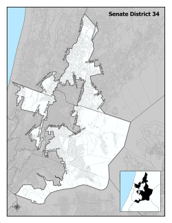 offical map of NYS Senate District 34