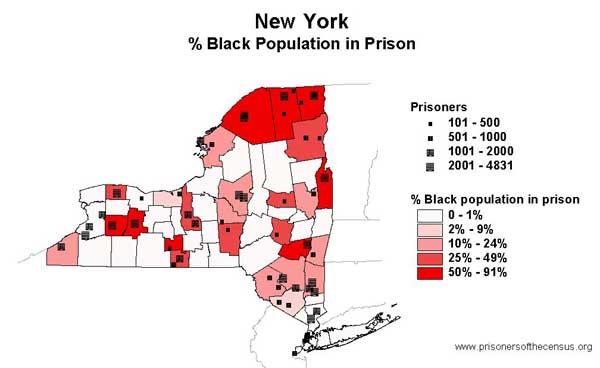 Artificial Diversity in New York